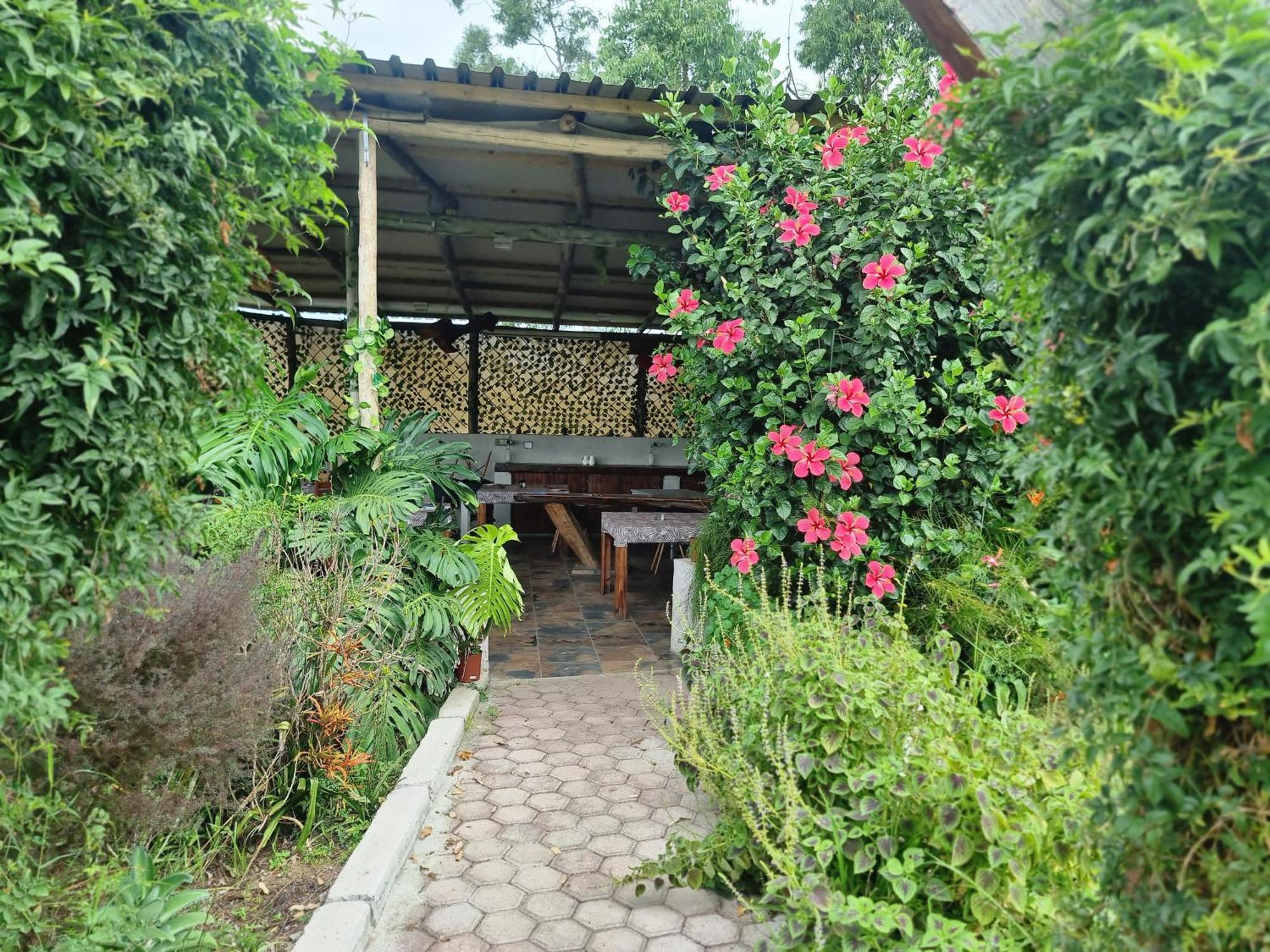 Goggas Nest Bnb & Restaurant Matsapha Exterior foto
